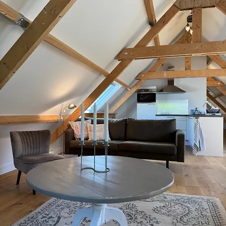 Apartament Barbera - Experience Local Life In The Old Centre Haarlem