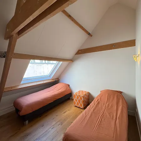 Barbera - Experience Local Life In The Old Centre Haarlem