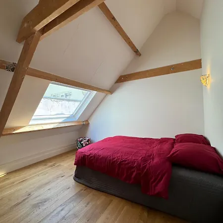 Barbera - Experience Local Life In The Old Centre Haarlem