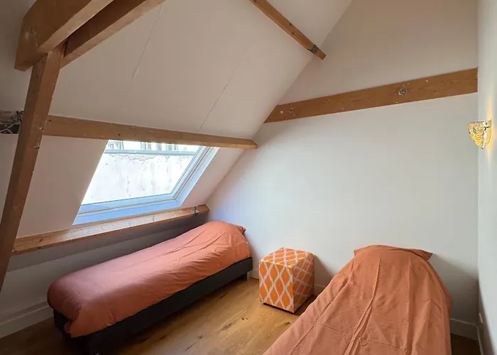 Barbera - Experience Local Life In The Old Centre Haarlem