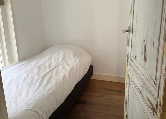 Barbera - Experience Local Life In The Old Centre Haarlem